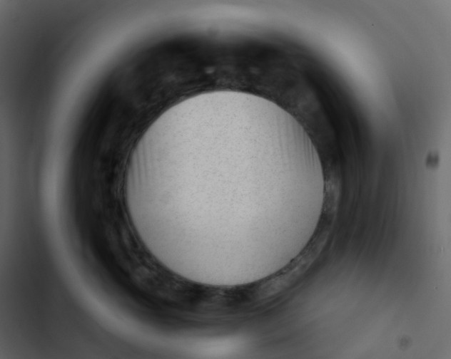 X0000102870765200809021447