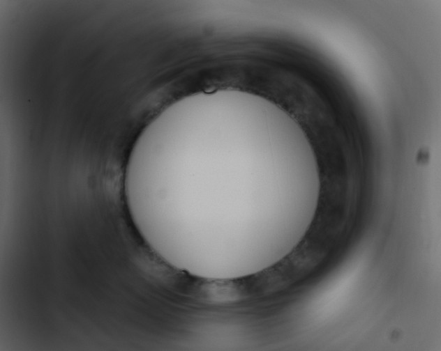 X0000102870767200809021447