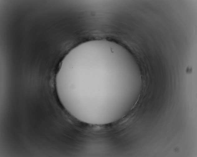 X0000102870768200809021447