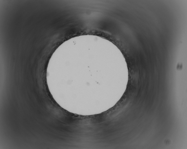 X0000102870769200809021446