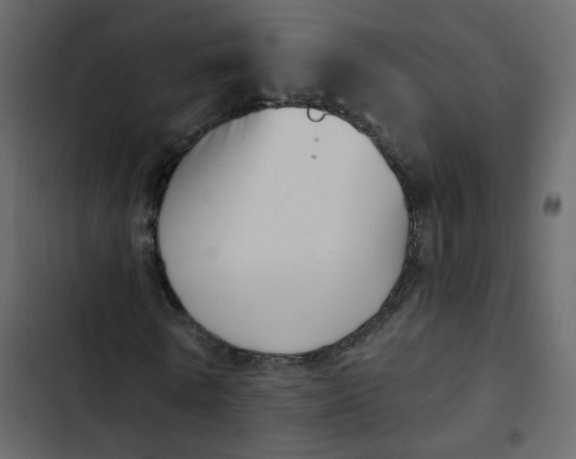 X0000102870770200809021446