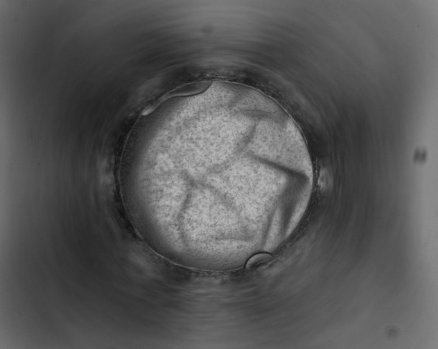 X0000102870771200809021446