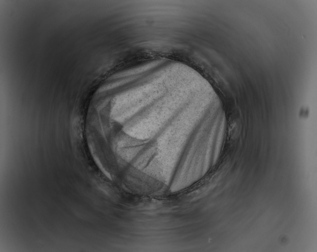 X0000102870772200809021446