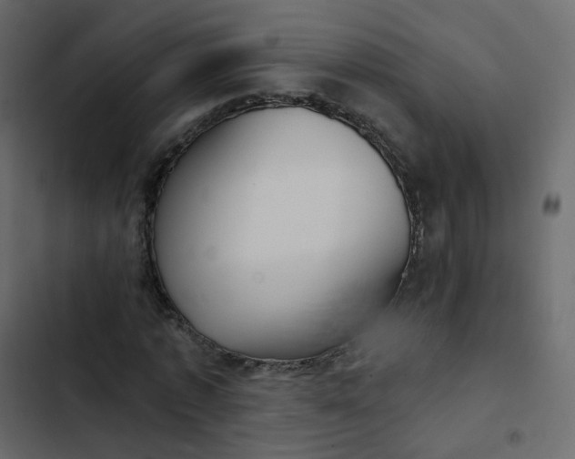 X0000102870773200809021446