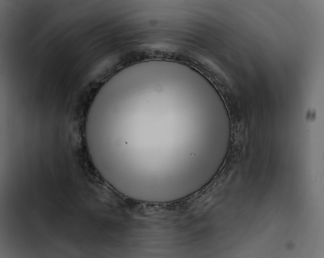 X0000102870774200809021446