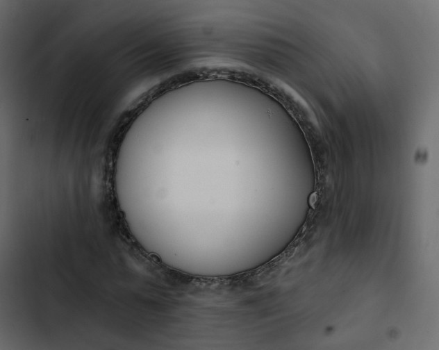 X0000102870775200809021446