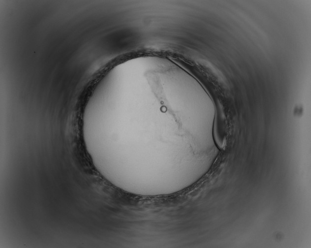 X0000102870776200809021446