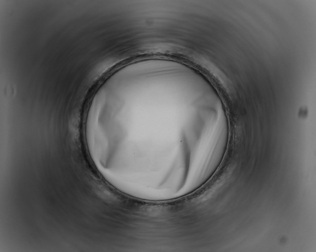 X0000102870778200809021446