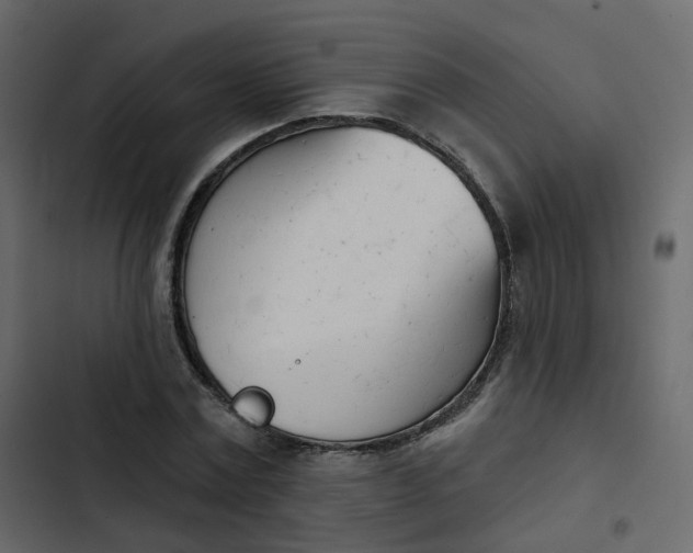 X0000102870779200809021446