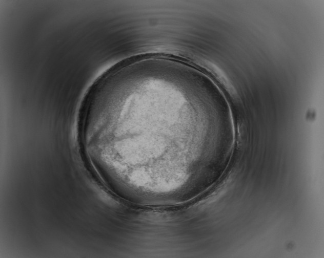 X0000102870780200809021446