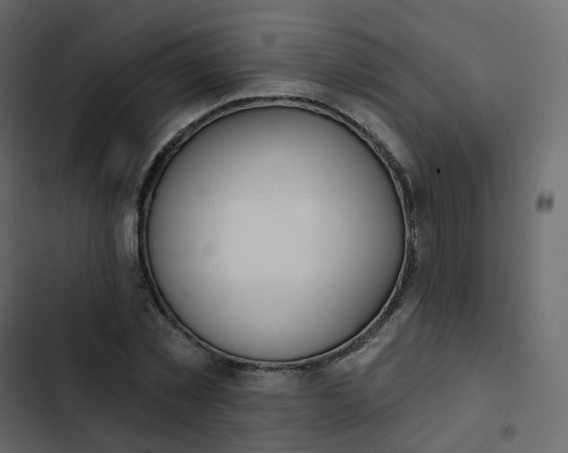 X0000102870781200809021446