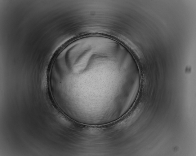 X0000102870782200809021446