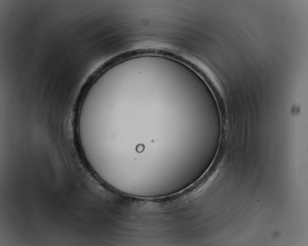 X0000102870783200809021446