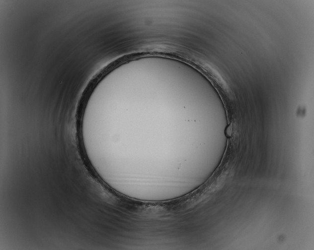 X0000102870784200809021446