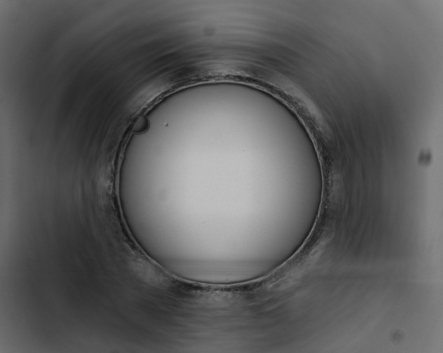 X0000102870785200809021446