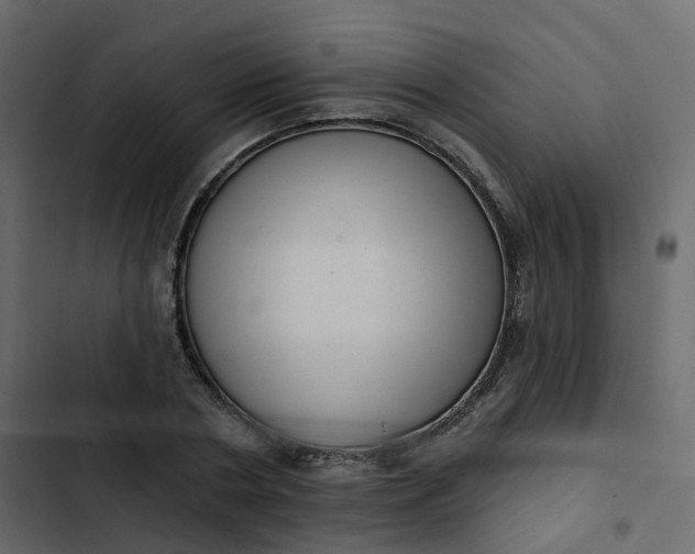 X0000102870786200809021446