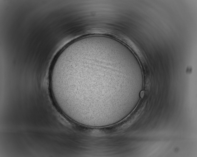 X0000102870787200809021446