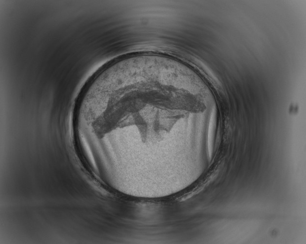 X0000102870788200809021446