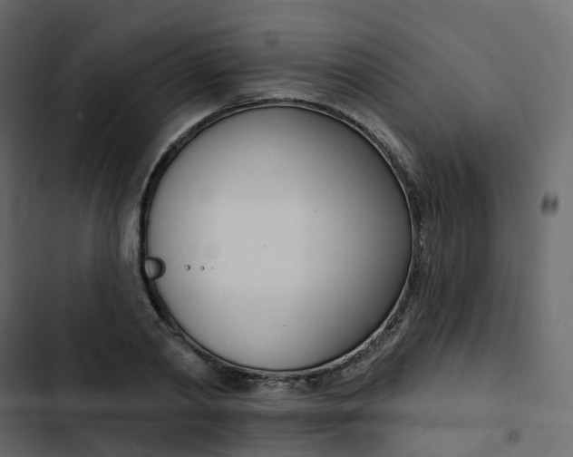 X0000102870790200809021446