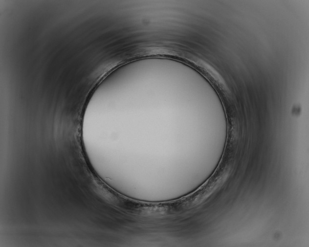 X0000102870793200809021446