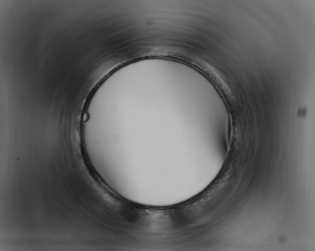 X0000102870794200809021446