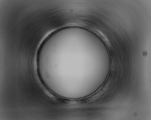 X0000102870796200809021446