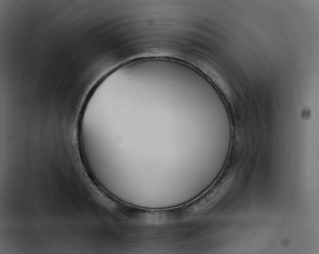 X0000102870797200809021446