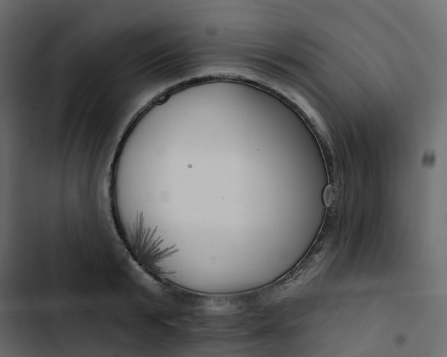 X0000102870799200809021446