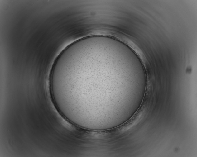 X0000102870803200809021446