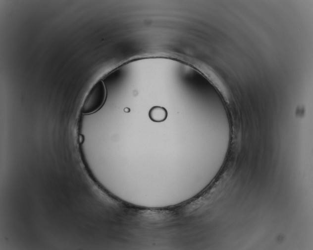 X0000102870805200809021446