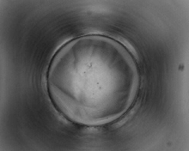 X0000102870806200809021446