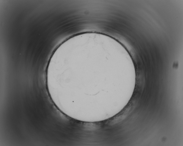 X0000102870807200809021446