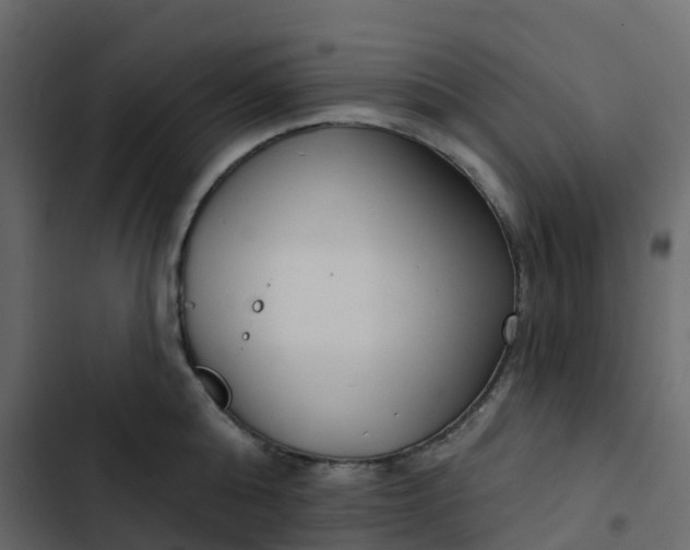 X0000102870808200809021446