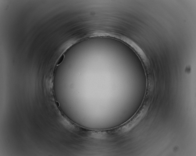 X0000102870809200809021446