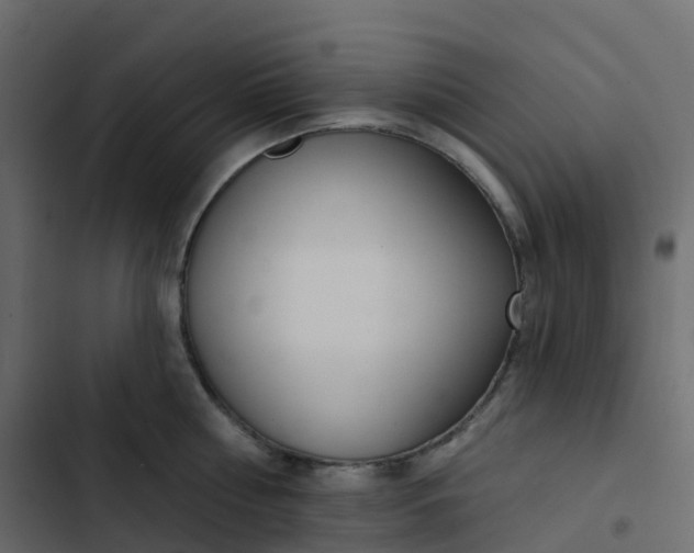 X0000102870810200809021446