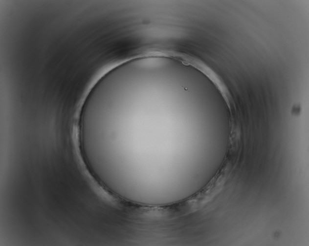 X0000102870811200809021446