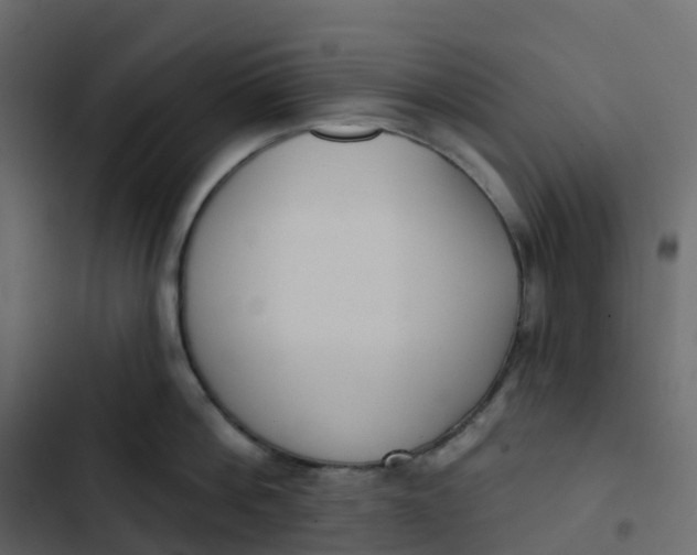 X0000102870812200809021446