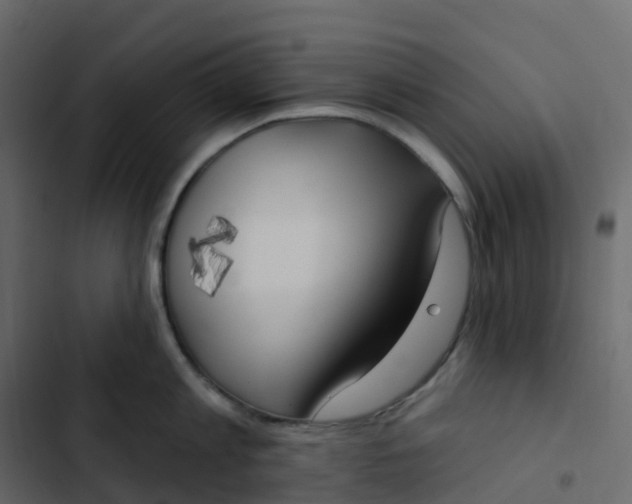 X0000102870813200809021446