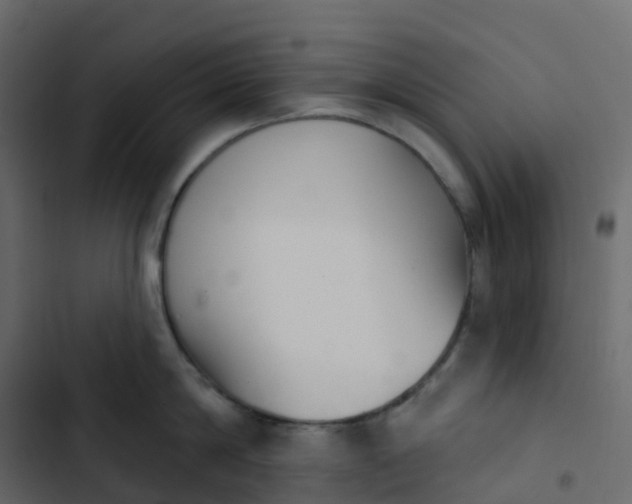 X0000102870814200809021446