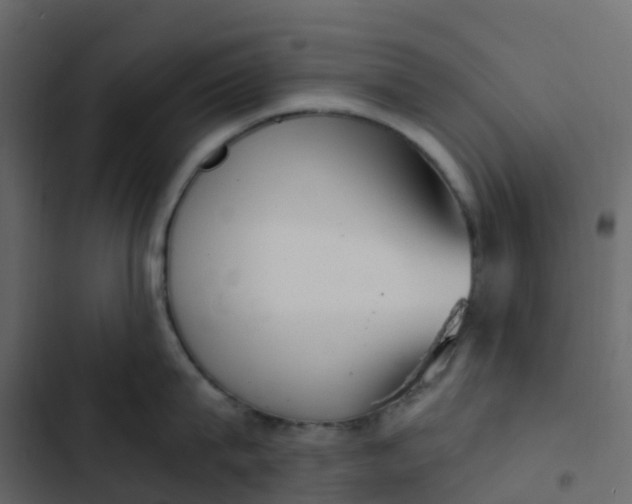 X0000102870815200809021446