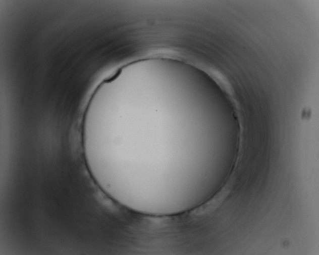 X0000102870816200809021446