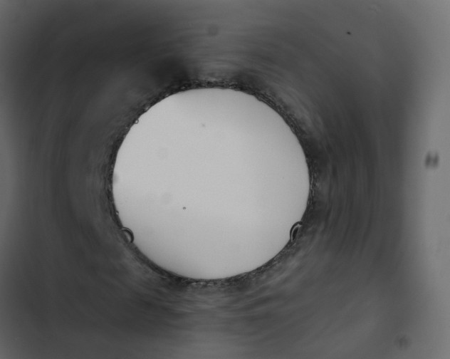 X0000102870817200809021445