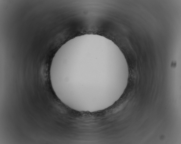 X0000102870818200809021445