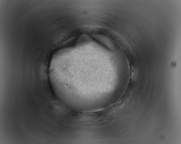 X0000102870819200809021445