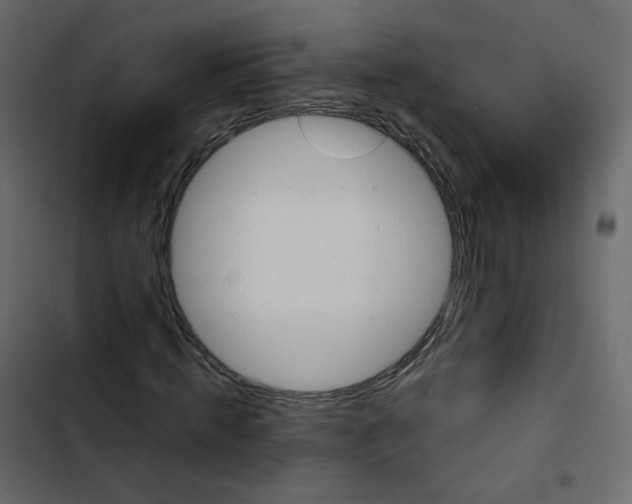 X0000102870820200809021445