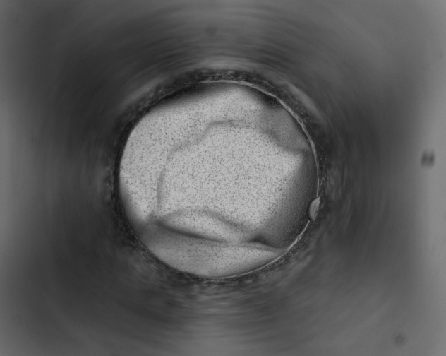 X0000102870821200809021445