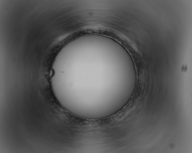 X0000102870822200809021445