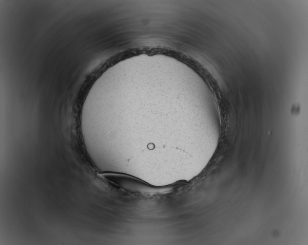 X0000102870823200809021445