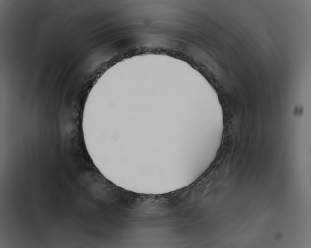 X0000102870824200809021445