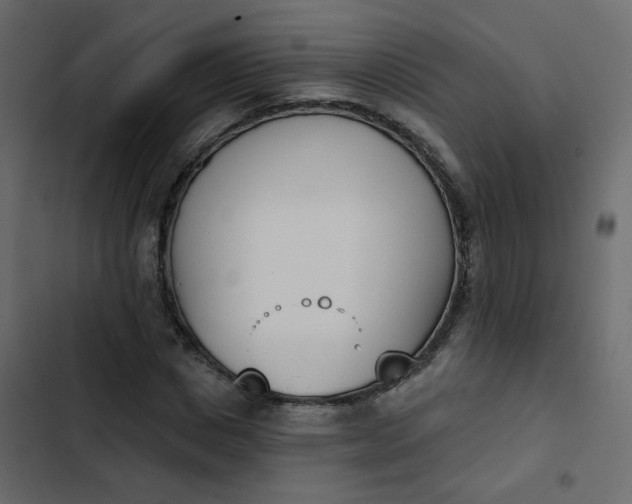 X0000102870825200809021445